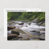 Postcard - Kleiner Taubenfluss, große, rauchige Mö Postkarte (Vorne/Hinten)