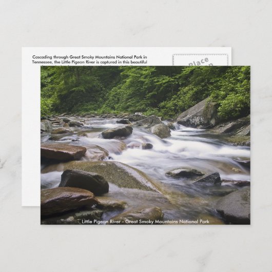 Postcard - Kleiner Taubenfluss, große, rauchige Mö Postkarte (Vorne/Hinten)