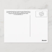 Postcard - Kleiner Taubenfluss, große, rauchige Mö Postkarte (Rückseite)