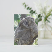 Postcard Koalas QLD Australien Postkarte (Stehend Vorderseite)