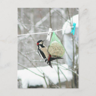 Postcard-Landschaftlicher Lebensraum für Vögel Win Postkarte