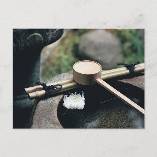 Postcard - leise Meinung Postkarte (Vorderseite)