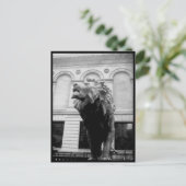 Postcard Liebe Art House - Downtown 8 Postkarte (Stehend Vorderseite)