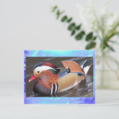 Postcard - Mandarin Duck Postkarte (Stehend Vorderseite)