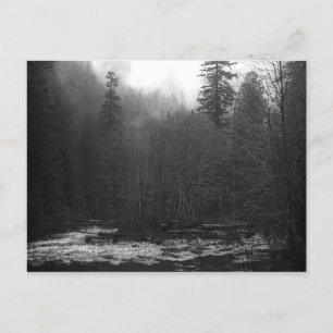 Postcard - Misty Salmon River, Oregon Postkarte