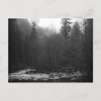 Postcard - Misty Salmon River, Oregon Postkarte