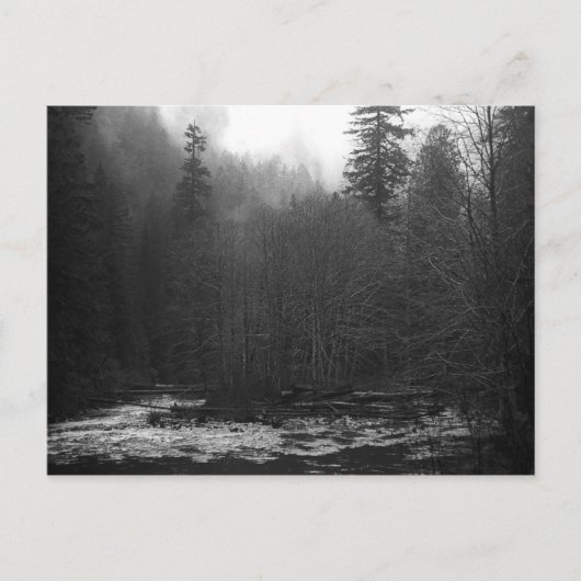 Postcard - Misty Salmon River, Oregon Postkarte (Vorderseite)