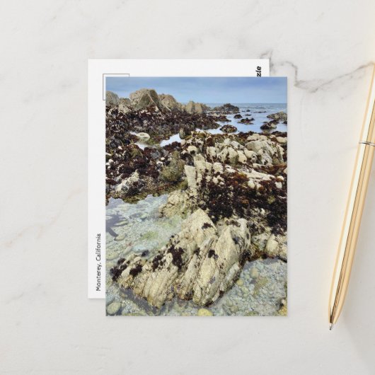 Postcard - Monterey, Kalifornien Postkarte (Vorderseite/Rückseite Beispiel)