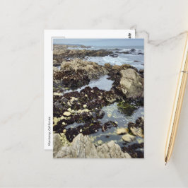 Postcard - Monterey, Kalifornien Postkarte