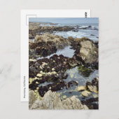 Postcard - Monterey, Kalifornien Postkarte (Vorne/Hinten)