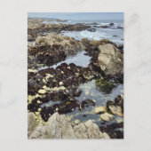 Postcard - Monterey, Kalifornien Postkarte (Vorderseite)