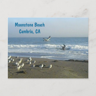 Postcard: Moonstone Beach, Cambria, C Postkarte