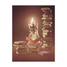Postcard: Mouse reading a book