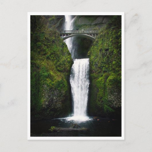 Postcard-Multnomah Falls, Oregon Postkarte (Vorderseite)