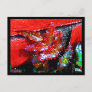 Postcard-Nature-Art des Regens 32 Postkarte