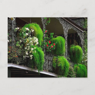 Postcard New Orleans - French Quarter USA Postkarte