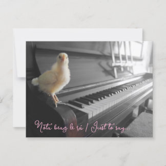 Postcard Nóta beag le rá / Nur zu sagen Postkarte