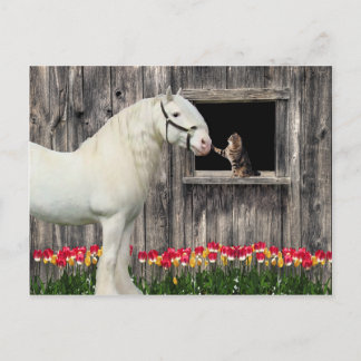 Postcard "One Spring Morning" Postkarte