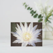 POSTCARD "PAINTED LOTUS" POSTKARTE (Stehend Vorderseite)