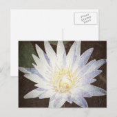 POSTCARD "PAINTED LOTUS" POSTKARTE (Vorne/Hinten)