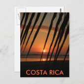 Postcard Palm Sunset, COSTA RICA Postkarte (Vorne/Hinten)