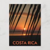 Postcard Palm Sunset, COSTA RICA Postkarte (Vorderseite)