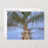 Postcard Palm Tree Grüße vom NJ Postkarte (Vorne/Hinten)