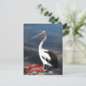 POSTCARD - Pelican Postkarte (Stehend Vorderseite)