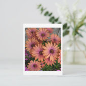 POSTCARD Pink-Blume Postkarte (Stehend Vorderseite)