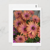 POSTCARD Pink-Blume Postkarte (Vorne/Hinten)