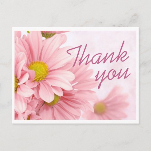 Postcard - Pink Daisy Vielen Dank Postkarte (Vorderseite)