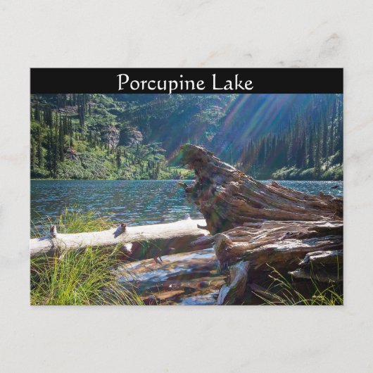 POSTCARD ~ "Porcupine Lake nähe Clark Fork, Idaho Postkarte (Vorderseite)