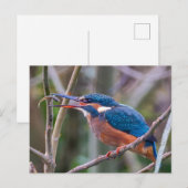 Postcard Postkarte (Vorne/Hinten)