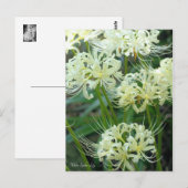 ［ Postcard ］ Postkarte (Vorne/Hinten)