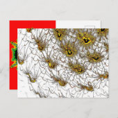 Postcard Postkarte (Vorne/Hinten)