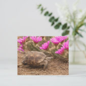 Postcard Postkarte (Stehend Vorderseite)
