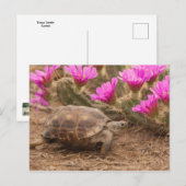 Postcard Postkarte (Vorne/Hinten)