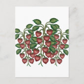 Postcard Postkarte (Vorderseite)