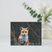 Postcard Postkarte (Stehend Vorderseite)