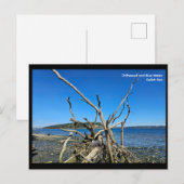 Postcard Postkarte (Vorne/Hinten)