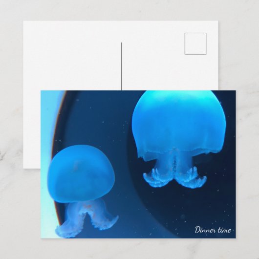 Postcard Postkarte (Vorne/Hinten)