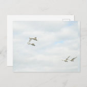 Postcard Postkarte (Vorne/Hinten)