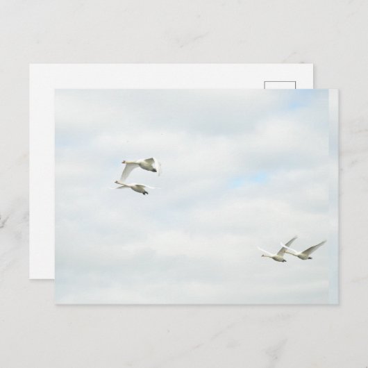 Postcard Postkarte (Vorne/Hinten)