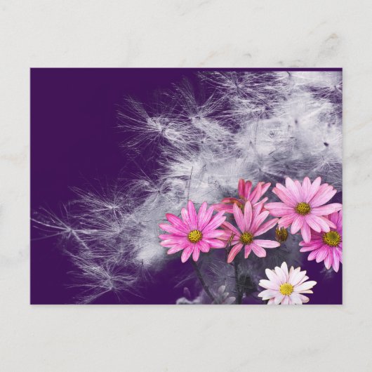 Postcard Postkarte Blumen und Distelsamen (Vorderseite)