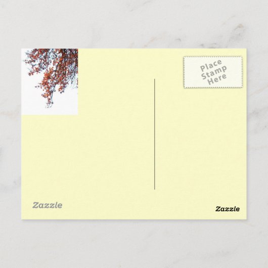 Postcard-Red Kite in der Windkollektion Postkarte (Rückseite)