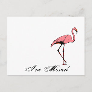 Postcard Retro Ich habe neue Adresse Flamingo PC v Ankündigungspostkarte