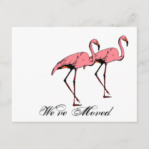 Postcard Retro Wir haben neue Adresse Flamingo PC  Ankündigungspostkarte