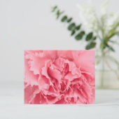 Postcard rosa Kartusche Nah Postkarte (Stehend Vorderseite)