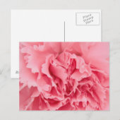 Postcard rosa Kartusche Nah Postkarte (Vorne/Hinten)
