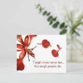 Postcard Royal Poinciana Postkarte (Stehend Vorderseite)